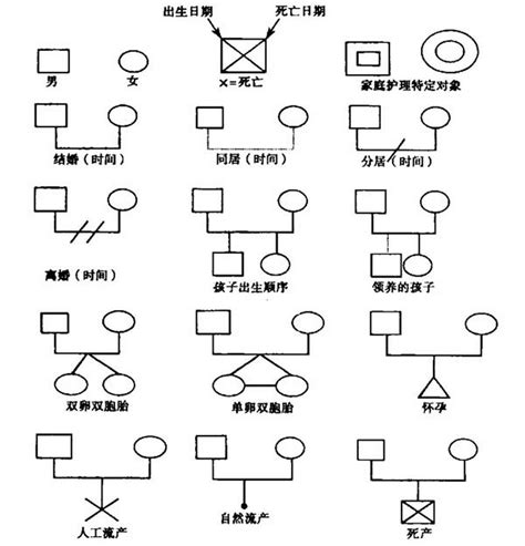 家族樹 離婚